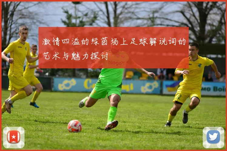激情四溢的绿茵场上足球解说词的艺术与魅力探讨
