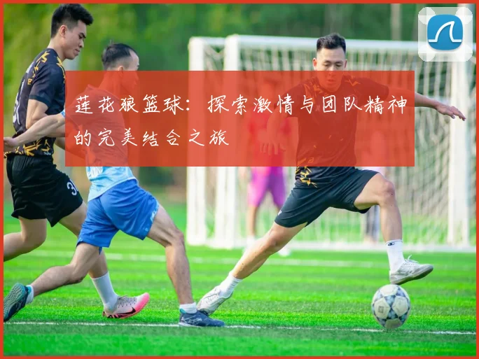 莲花狼篮球：探索激情与团队精神的完美结合之旅