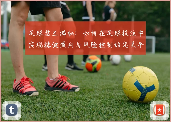 足球盘王揭秘：如何在足球投注中实现稳健盈利与风险控制的完美平衡