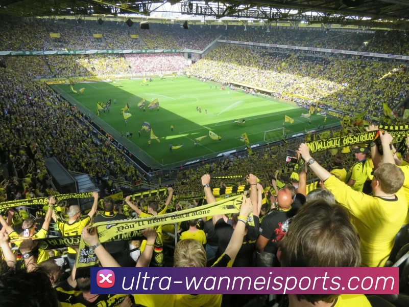 完美官网APP 体育赛事宣传图